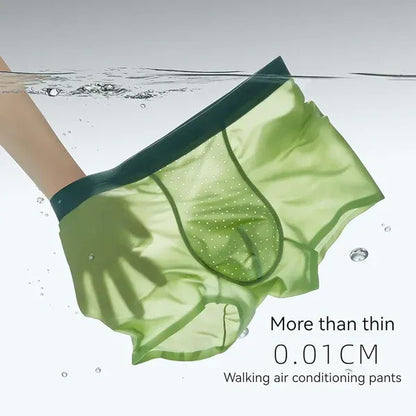 UB™ MiiOW Ice Silk Seamless Antibacterial Underwear