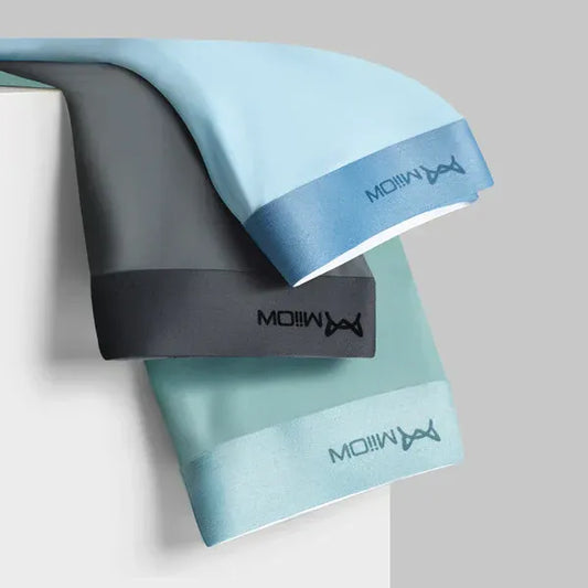 UB™ MiiOW Ice Silk Seamless Antibacterial Underwear