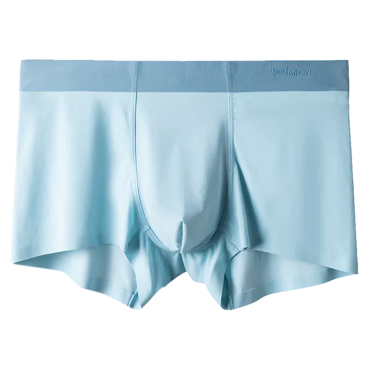 UB™ MiiOW Ice Silk Seamless Antibacterial Underwear